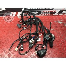 Faisceau électrique