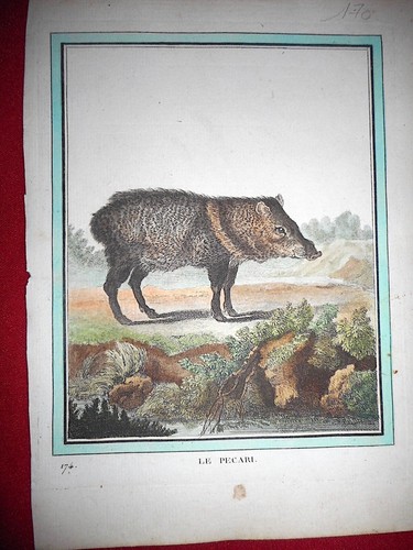170 gravure xviiie - 170,