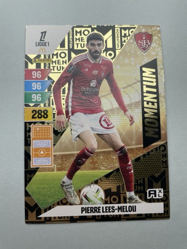 Carte ligue panini brest - carte, 1