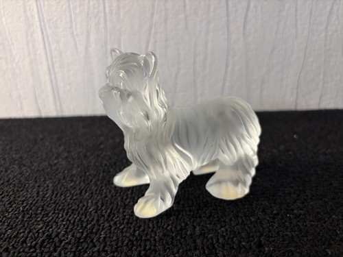 Chien yorkshire cristal - yorkshire,