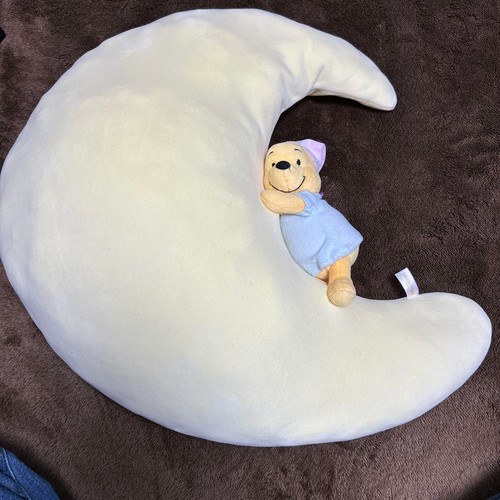 Peluche coussin tokyo disney - coussin,