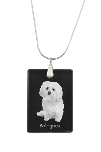 Bichon bolognese pendentif - -,