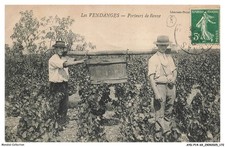 AYDP14-1240-69 - Les vendanges