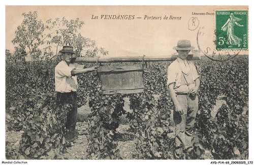 Aydp14 1240 les vendanges - aydp14-1240-69,