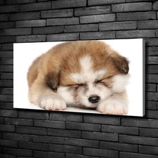 Tulup Tableaux Sur Toile Image Imprimé 100x50cm - Chiot Akita