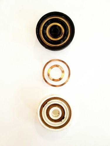 Lot platine male - platine, femelle
