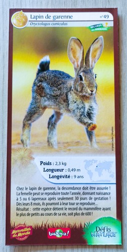 Carte merveilles monde - merveilles,