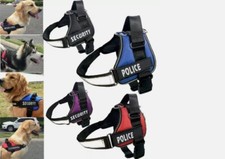 harnais chien pour promenade - différentes tailles