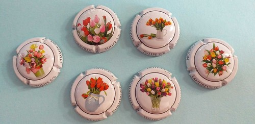 Collon tulipes 6 - collon,