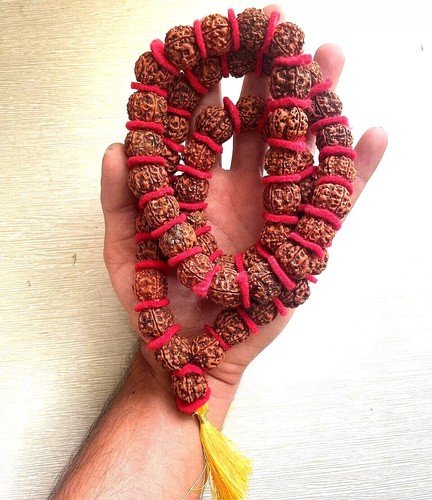 Perles mukhi rudraksha 5 - mukhi, /