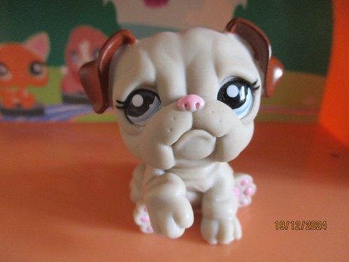 Petshop chien bouledogue - petshop,