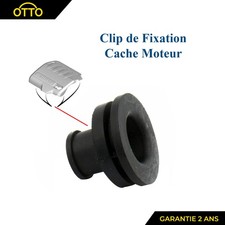 Clip de Fixation de Cache