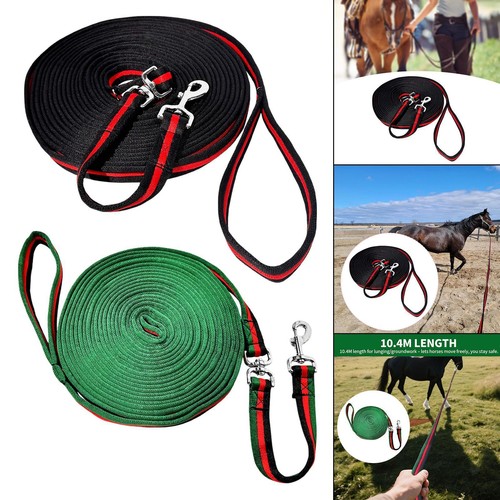 Longe pour cheval - ,
