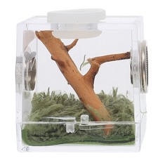  Boîte D'élevage De Reptiles Terrarium Araignée Accessoire Pour Aquarium À