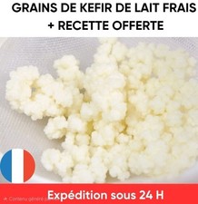  8G Grains De Kéfir De Lait