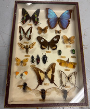 Boîte Cadre Vitrée -