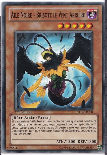 Aile noire brisote le - aile,