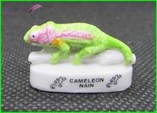 Feve  Animaux Les Reptiles