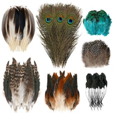 Lot de 100 plumes de faisan