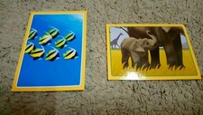 Lot sticker panini animaux - 2, x