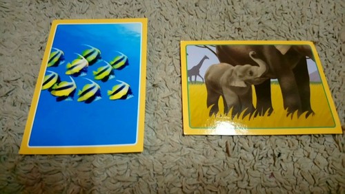 Lot sticker panini - lot, x
