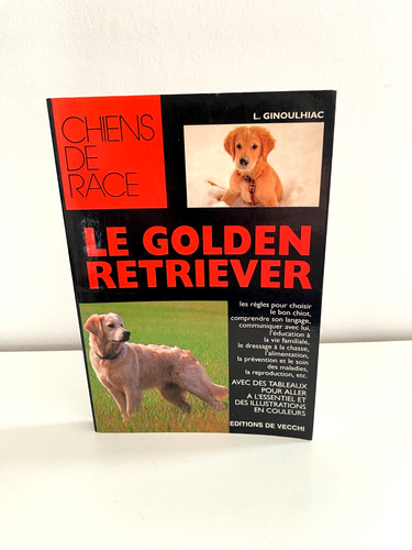 Golden retriever louise - golden,