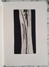 SUR UN PLI DU TEMPS BERNARD