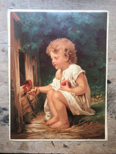 CHROMO DECOUPIS GRAND FORMAT -