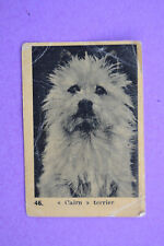 image CHOCOLAT KEMMEL Arista - Chien 46 CAIRN TERRIER