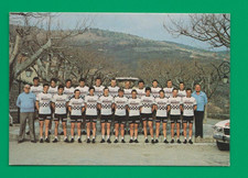 CYCLISME carte Equipe cycliste PEUUGEOT MICHELIN 1979
