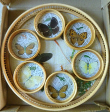 plateau de service et ses 6