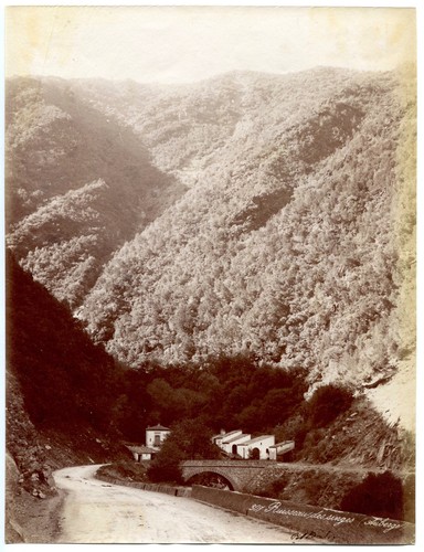Photo tirage albuminé 1880 - ,