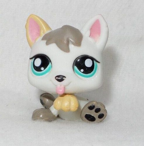 Littlest pet shop petshop lps - pet,