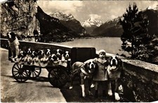 CPA AK St. Bernard Wagon with