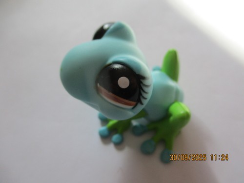 Petshop grenouille 1140 - grenouille, n°1140