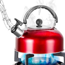 Bouilloire sifflante inox 3 L