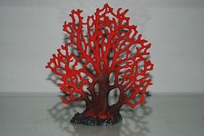 Détaillé Aquarium Corail