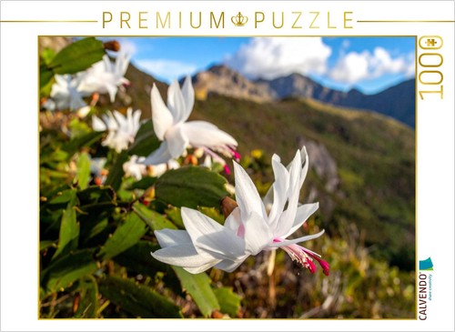 Calvendo puzzle schlumbergera - puzzle,