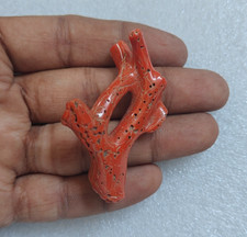 BRANCHE RUGUEUSE POLIE CORAIL