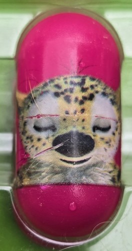 Marsupilami sur piste du - marsupilami,