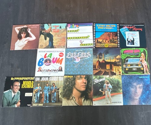 Lot disques vinyles 12 - vinyles,