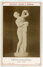 Sculpture Vénus Callipyge, Antique Naples, ca.1880, Vintage albumen print vintag