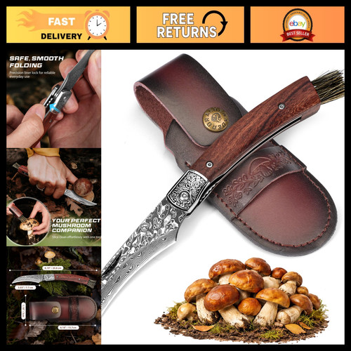 Folding mushroom foraging - folding,