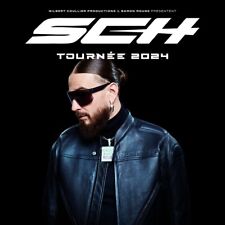 Place de concert Sch LDLC Aren