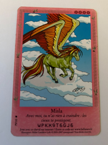 C121 carte bella sara misla - bella,