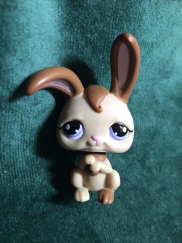 Petshop lapin garenne - petshop,