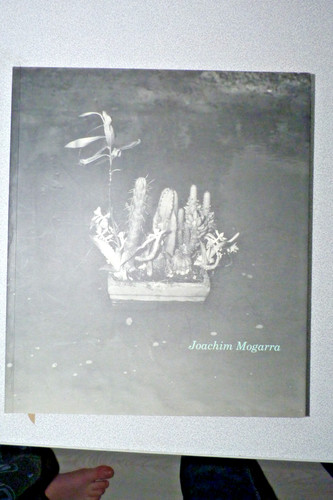 Joachim mogarra frac - frac, 1981-1993