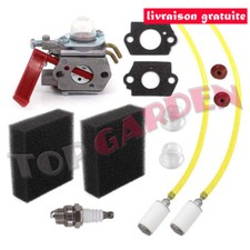 Carburateur pour Homelite B25C