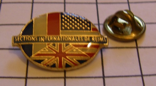 Pin enseignement sections - pin's,
