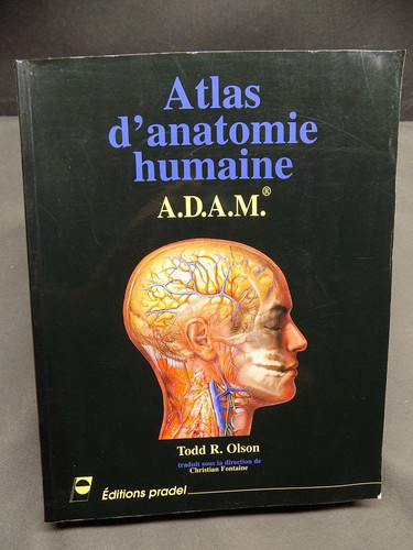 Atlas anatomie humaine - atlas, d'anatomie